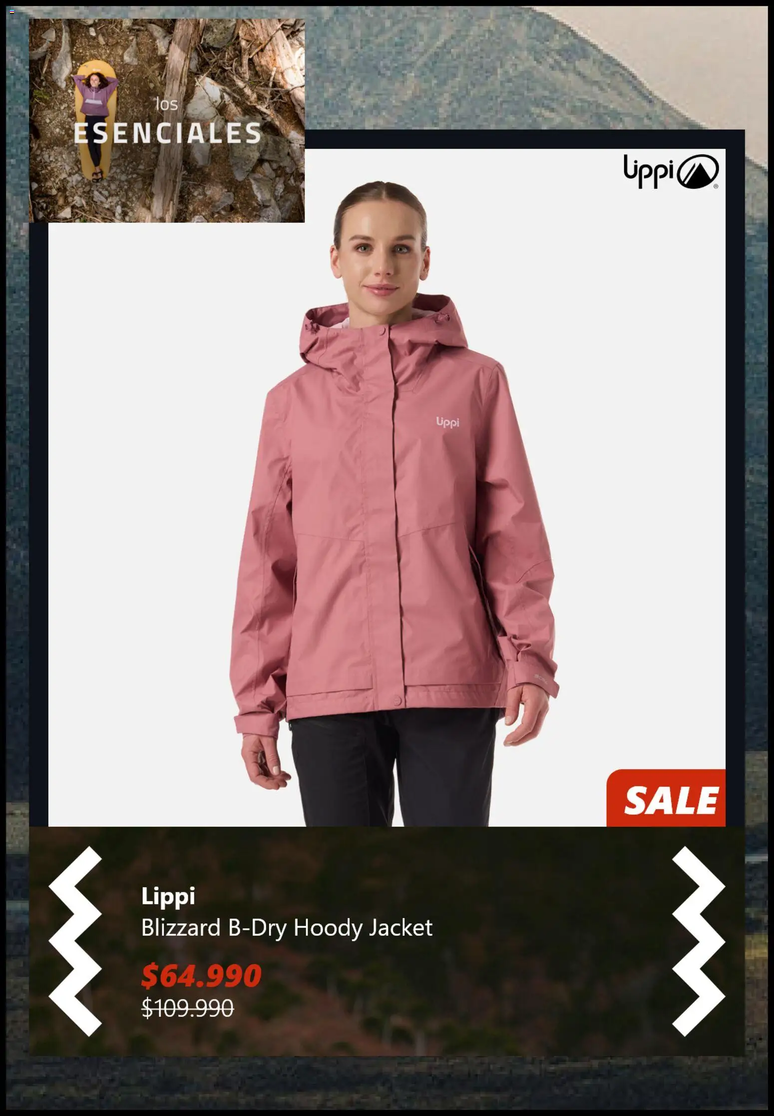 Lippi ofertas  │ válido desde el 16.12.2025 | Página: 3