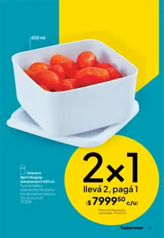 Vista previa Tupperware Folleto válido desde el 09.12.2025 | Página: 20 | Productos: Modular, Heladera