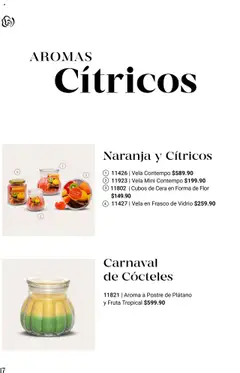 Nuevas ofertas de Home Interiors válidas en toda la República Mexicana desde el 01.07.2025. ¡Encuentra las mejores ofertas en Home Interiors catálogo! | Página: 18 | Productos: Plátano, Frasco, Cera, Vela