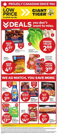 Preview of Giant Tiger Weekly Flyer from shop Giant Tiger valid from 28.01.2026