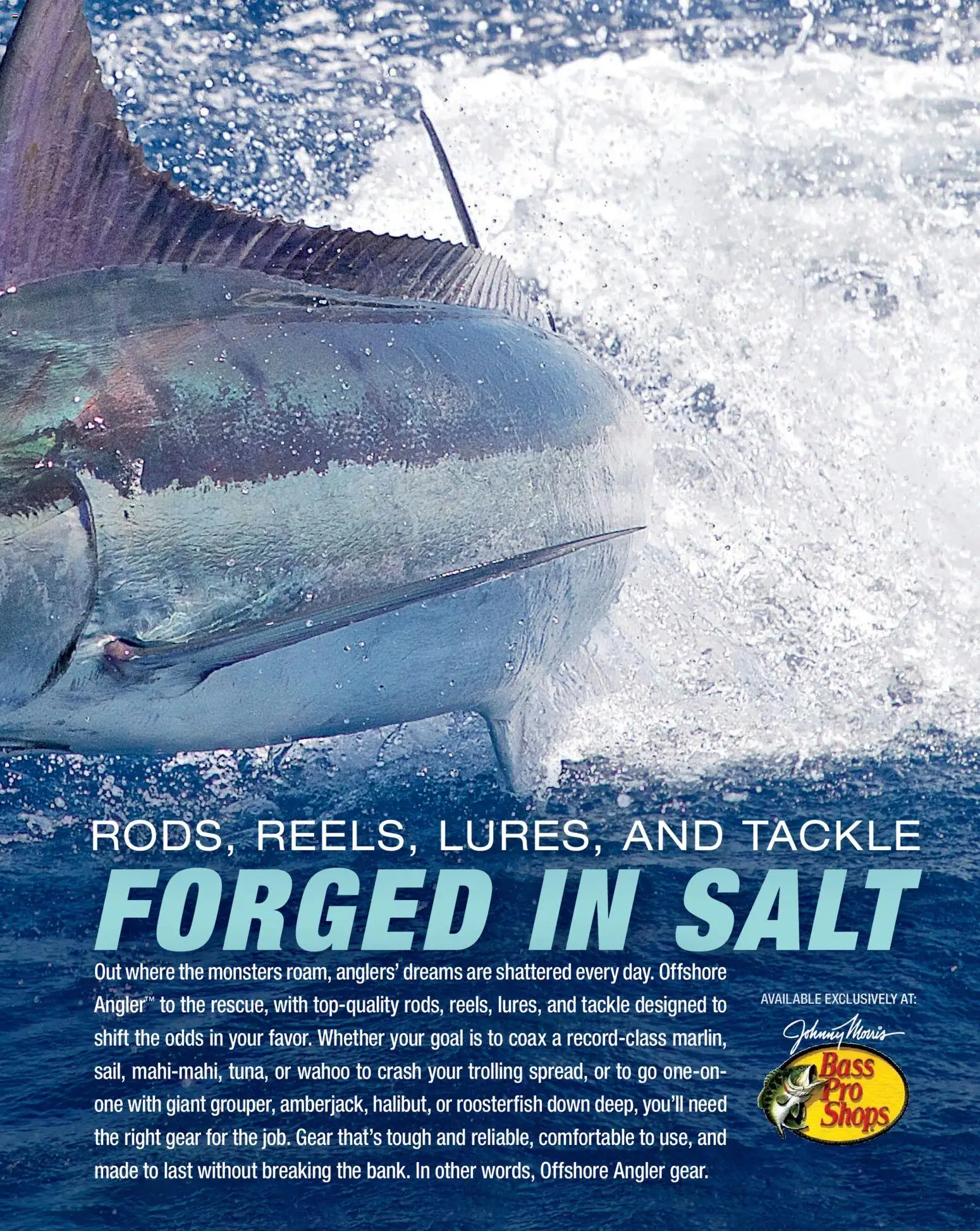Cabela's Saltwater Specialist 26 - valid from 15.12.2025 | Page: 7 | Products: Salt
