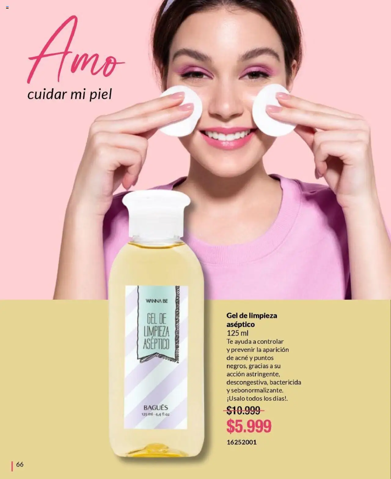 Bagués catálogo │ válido desde el 01.06.2025 | Página: 66 | Productos: Té