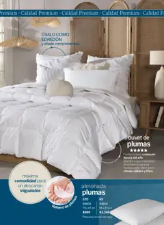 Vista previa de Vianney catálogo Primavera, nuevo folleto de la tienda, válido en México a partir del 07.03.2025 | Página: 166 | Productos: Almohada