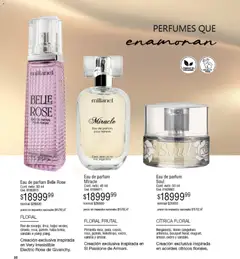 Vista previa Millanel - Catálogo válido desde el 05.01.2026 | Página: 30