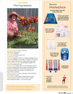 Preview of Catalogue Bunnings Warehouse November  - valid from 01.11.2025 | Page: 7 | Products: Table, Light, Accessories, Treatment