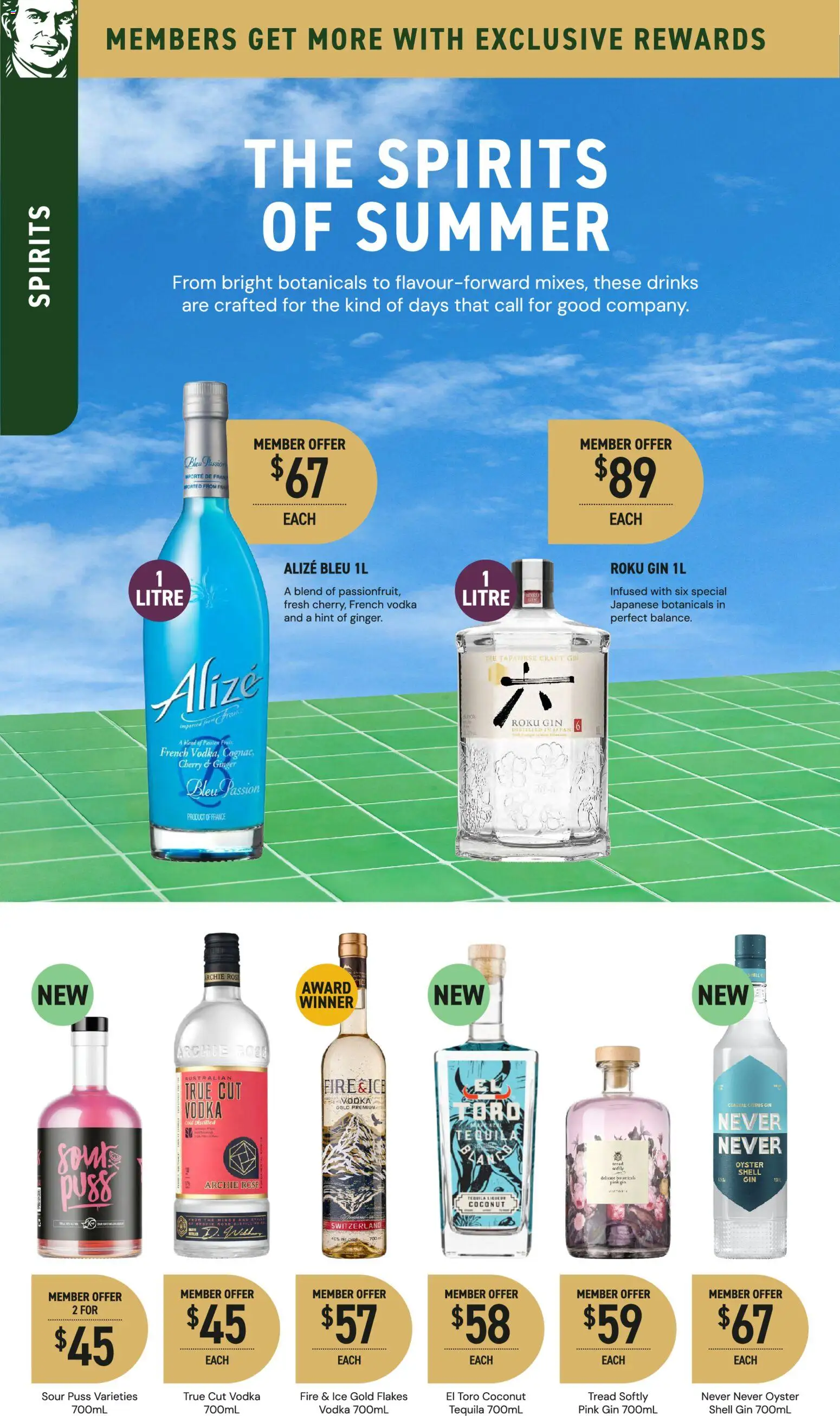 Dan Murphy's catalogue - valid from 08.01.2026 | Page: 19 | Products: Ginger, Gin, Flakes, Vodka