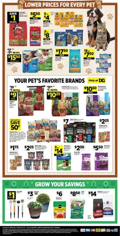 Preview of Dollar General weekly ads valid from 25.01.2026 | Page: 19