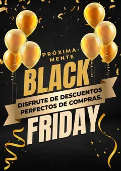 Vista previa Vitnik Black Friday aviso válido desde el 05.11.2025