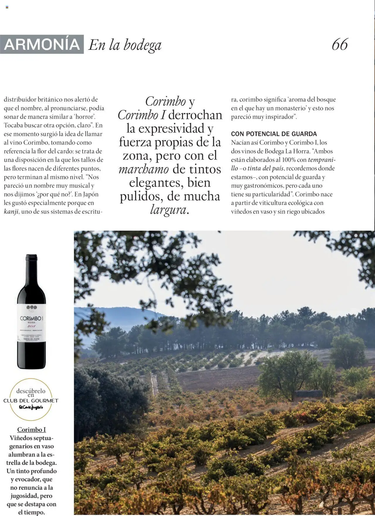 Nuevas ofertas de El Corte Inglés válidas en toda la República Mexicana desde el 29.09.2025. ¡Encuentra las mejores ofertas en El Corte Inglés - Catálogo Gourmet Magazine Otoño! | Página: 66 | Productos: Vino