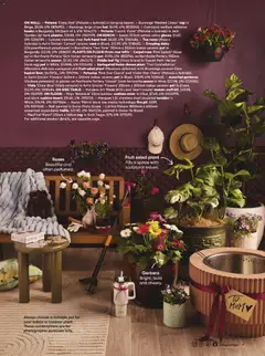 Preview of Bunnings Catalogue Mother's Day - valid from 24.04.2026 | Page: 7 | Products: Table, Basket, Pot, Cheese