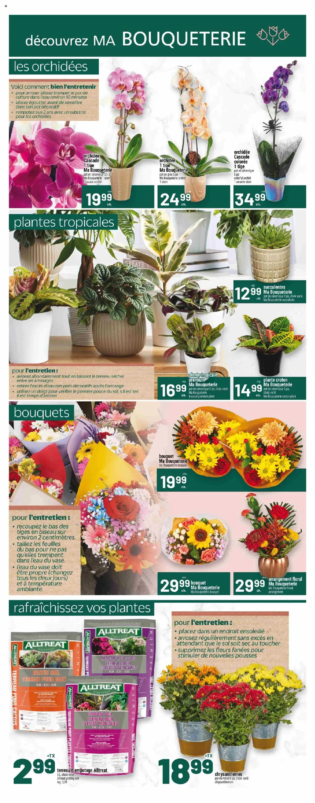 Metro flyer valid from 02.10.2025 | Page: 9 | Products: Vase