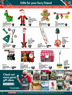 Preview of Bunnings Warehouse  Catalogue  - valid from 03.12.2025 | Page: 12