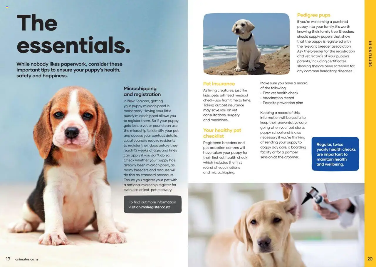 Animates catalogue from 01.01.2024 | Page: 11