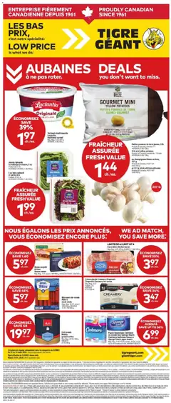 Preview of Giant Tiger Weekly Flyer from shop Giant Tiger valid from 25.03.2026