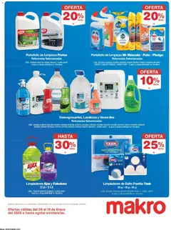Makro - Catálogo -  Vista previa de la revista de la tienda Makro valido desde el 09.01.2026 | Página: 17