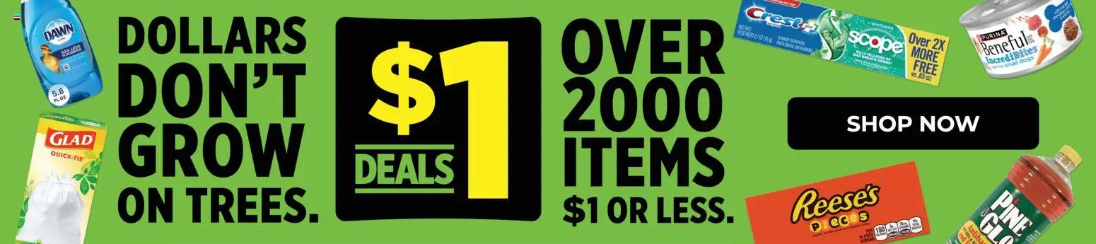 Dollar General Weekly Ad - valid from 15.02.2026 | Page: 2