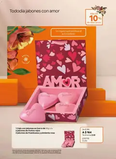 Vista previa de Natura campaña 6 2026, nuevo folleto de la tienda, válido en México a partir del 02.04.2026 | Página: 30 | Productos: Pimienta, Barra, Té, Caja