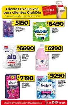 Vista previa Supermercado DIA Ofertas válido desde el 29.10.2025 | Página: 54