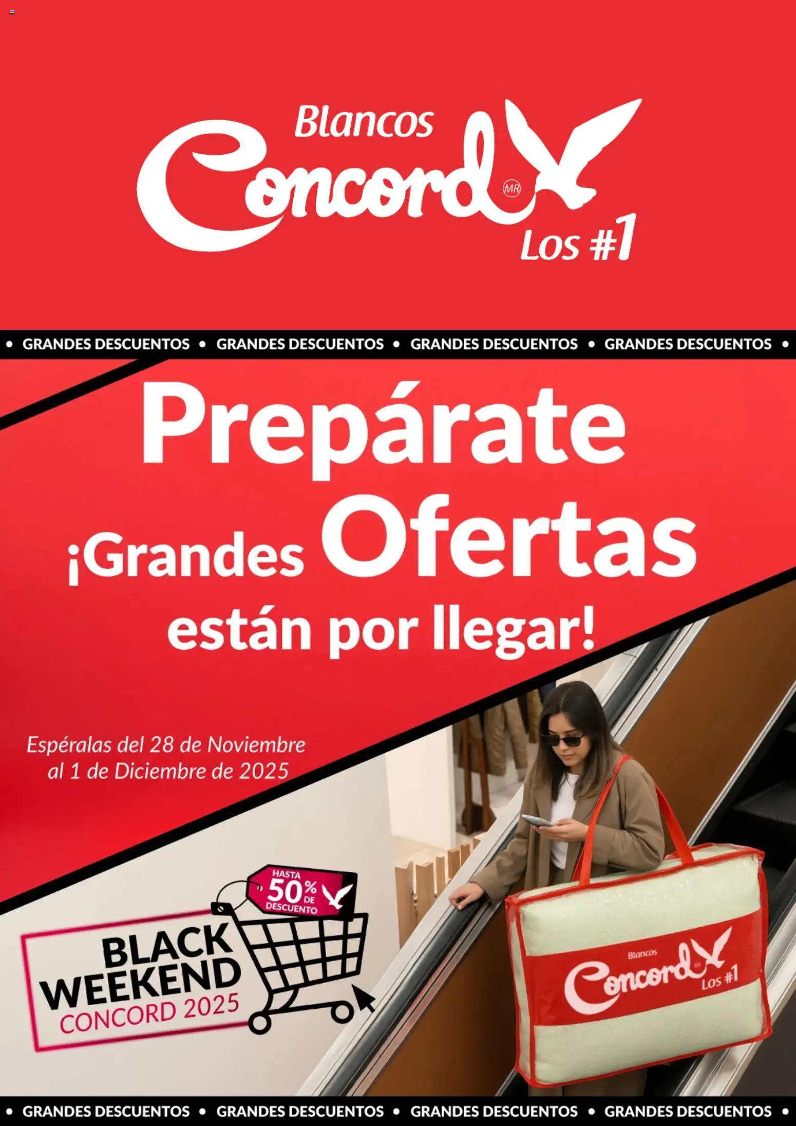 Nuevas ofertas de Colchas Concord válidas en toda la República Mexicana desde el 25.11.2025. ¡Encuentra las mejores ofertas en Colchas Concord Black Friday aviso! | Página: 1