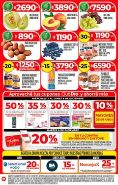 Vista previa Dia - Ofertas - Excluye Salta y Jujuy válido desde el 03.12.2025 | Página: 4