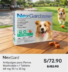 Vista previa de folleto Catálogo Oechsle  de la Oechsle válido desde 26.01.2026 | Página: 15 | Productos: Tableta