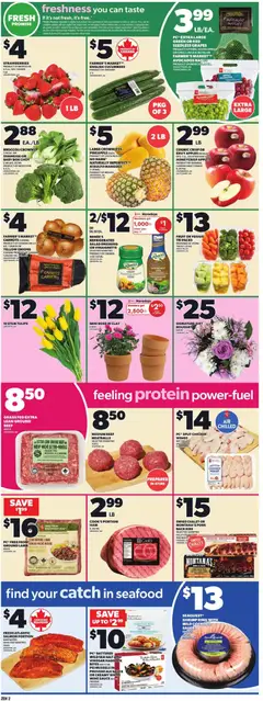 Preview of Zehrs weekly flyer / circulaire from shop Zehrs valid from 19.03.2026 | Page: 5 | Products: Beef, Pineapple, Salad, Pork