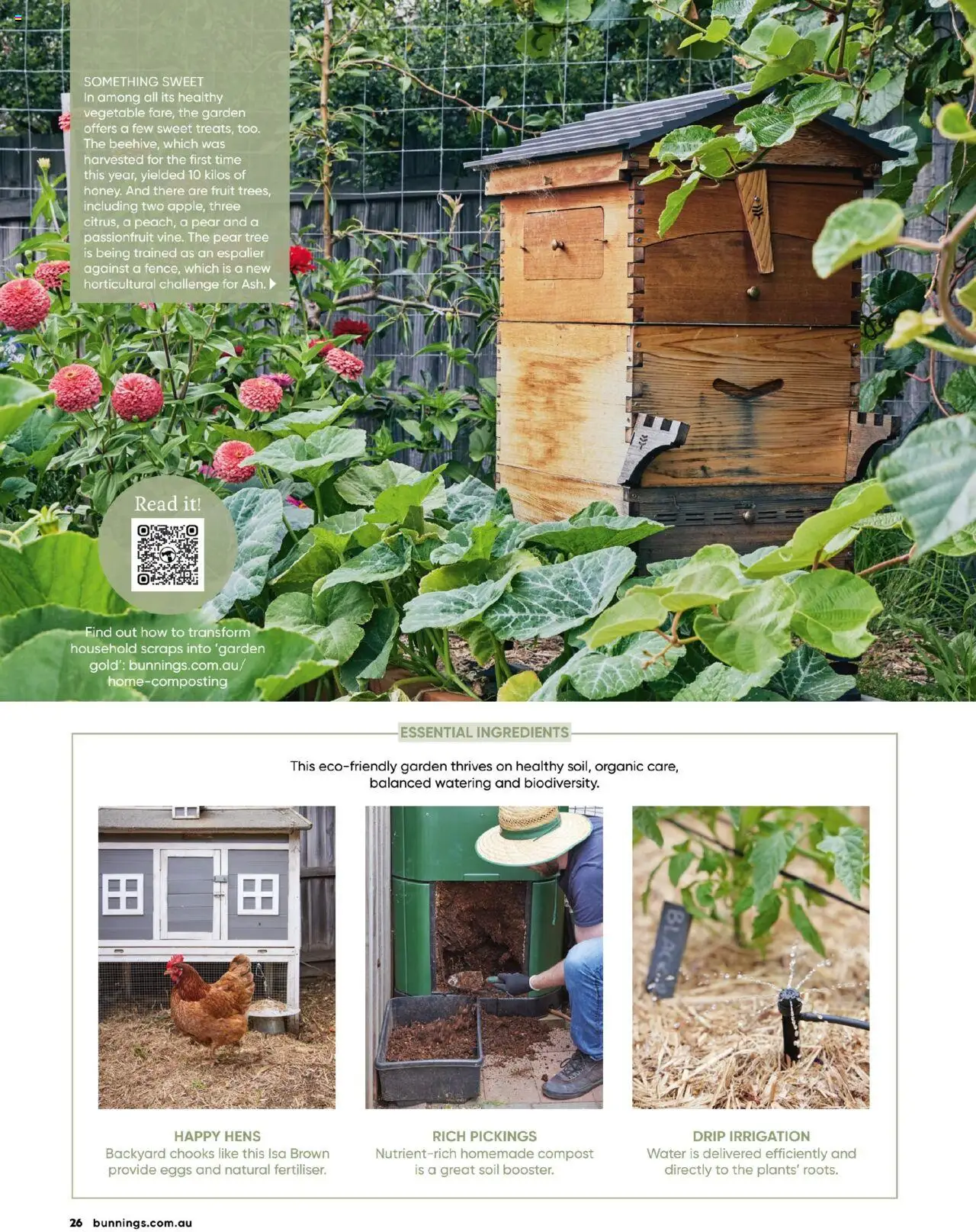 Bunnings Warehouse catalogue - valid from 01.10.2025 | Page: 26 | Products: Eggs, Soil, Irrigation, Pear
