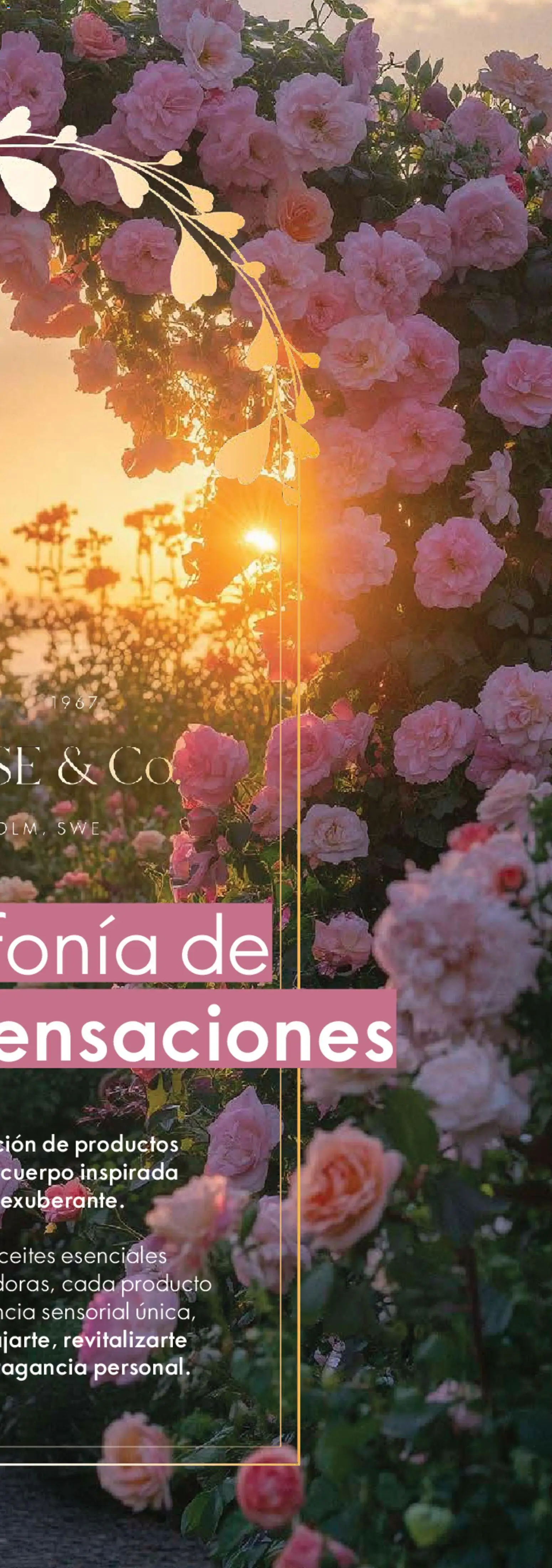¡El último » catálogo de Oriflame para Mayo « está aquí! Descubre las SUPER OFERTAS. | México