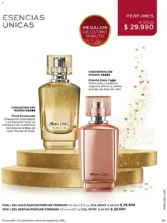 Catálogo L'Bel Campaña 1 válido desde el 01.01.2026 | Página: 61