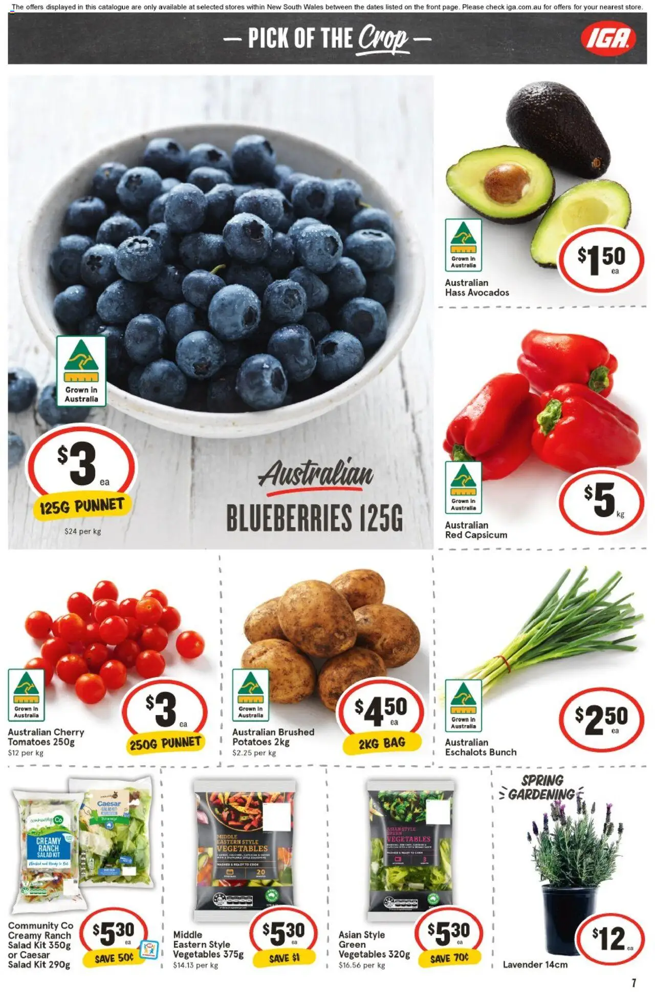 IGA catalogue - valid from 03.09.2025 | Page: 7 | Products: Pepsi, Sugar, Lemon