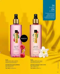 Vista previa de folleto L'Bel - Campaña 2 de la L'Bel válido desde 27.12.2025 | Página: 43