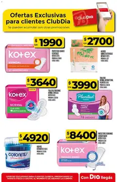 Vista previa Supermercado DIA Ofertas válido desde el 14.01.2026 | Página: 48 | Productos: Toalla, Toallitas femeninas