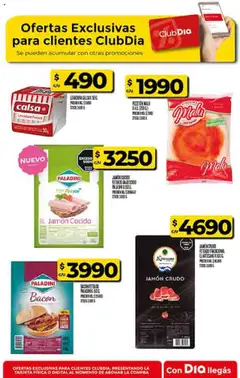 Vista previa Supermercado DIA Ofertas válido desde el 15.10.2025 | Página: 46