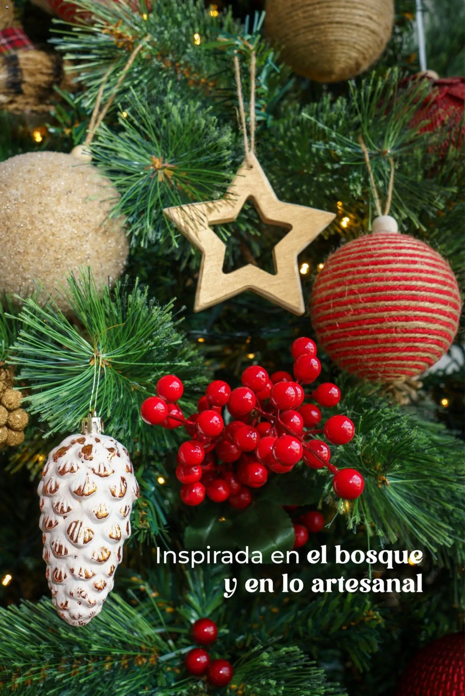 Easy - Catálogo - Navidad │ válido desde el 27.10.2025 | Página: 20