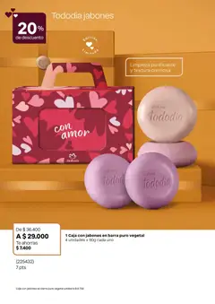 Natura - Catálogo Natura C02/2026 -  Vista previa de la revista de la tienda Natura valido desde el 01.02.2026 | Página: 30 | Productos: Té, Caja