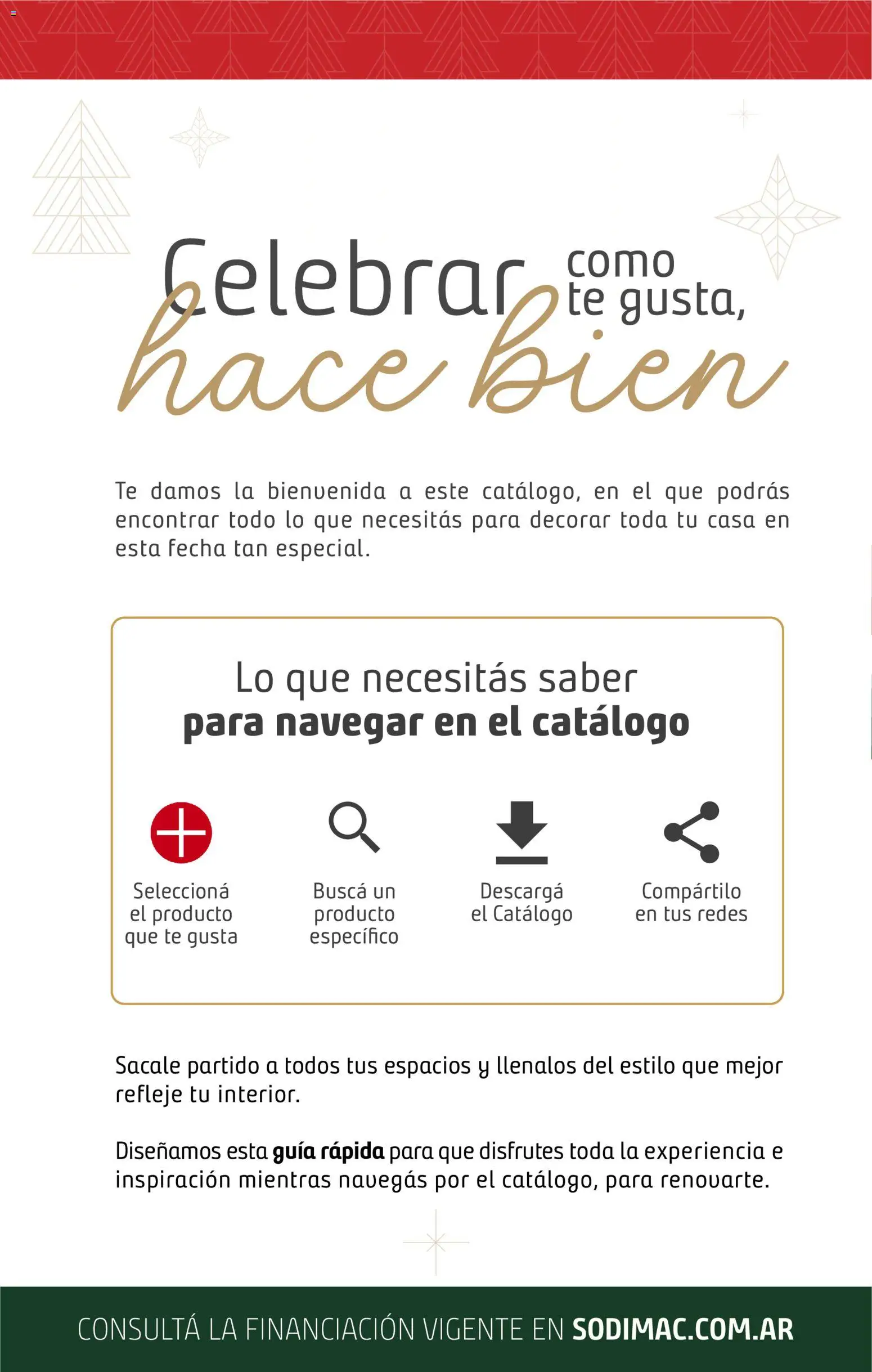 Punto Mayorista - Navidad │ válido desde el 13.11.2025 | Página: 2 | Productos: Té