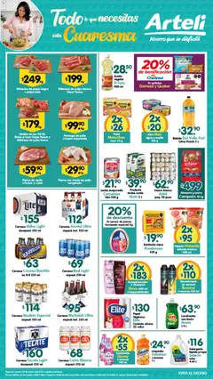 Vista previa de Arteli folleto Valles, nuevo folleto de la tienda, válido en México a partir del 20.03.2026