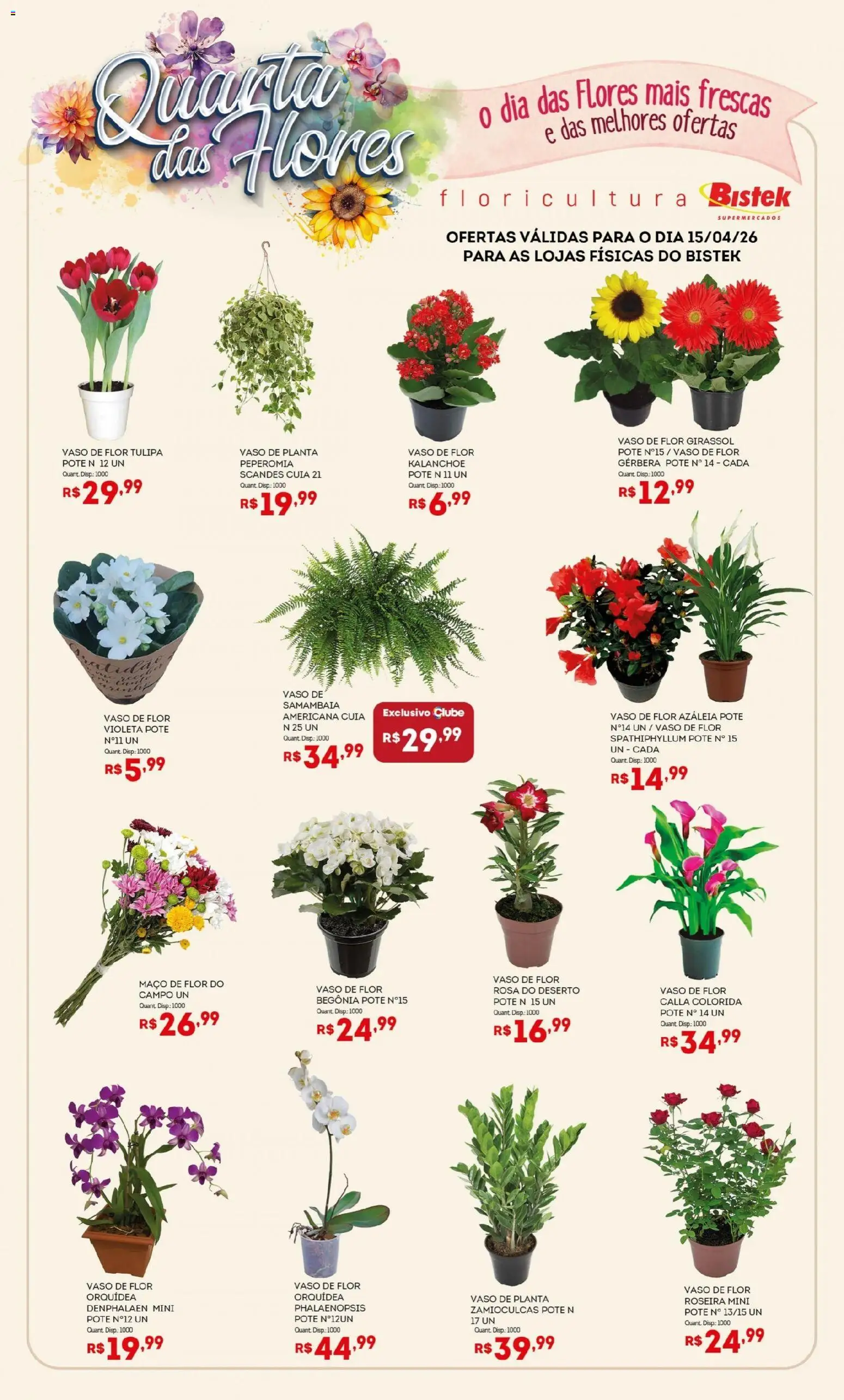 Bistek Supermercados Folheto - válido de 15.04.2026 | Página: 1 | Produtos: Denphalaen, Flores, Vaso