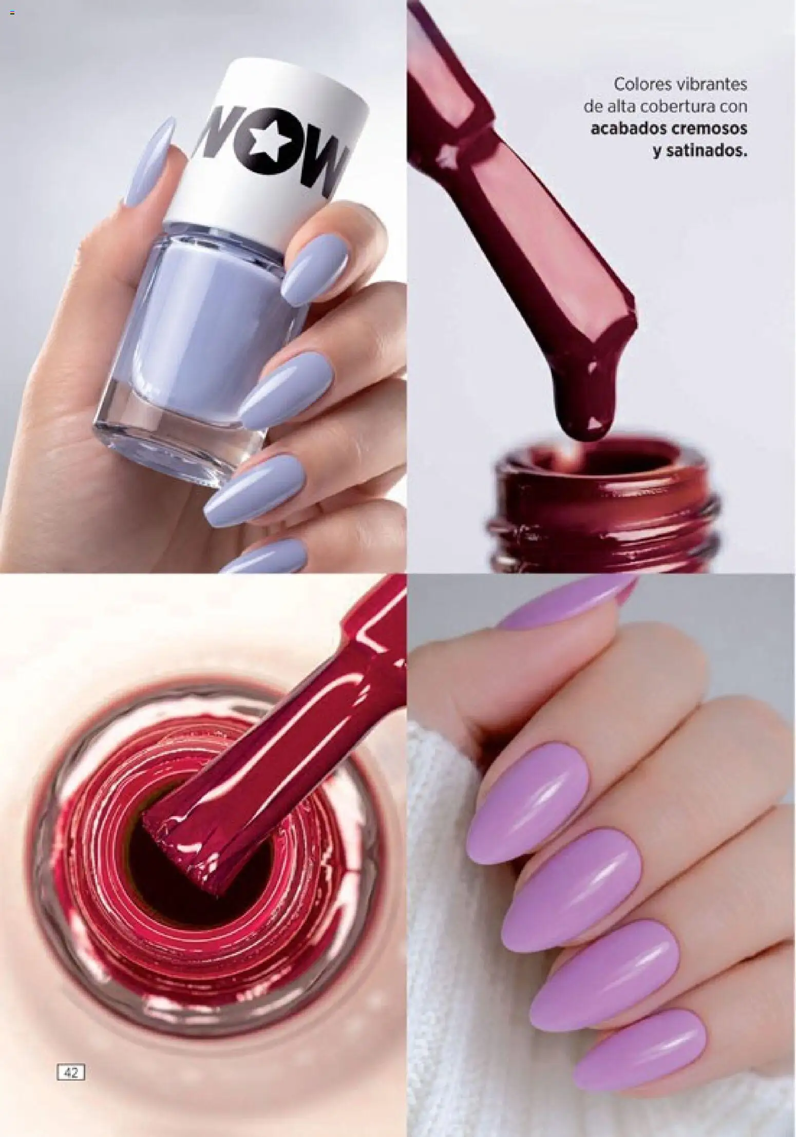 Amodil - Campaña 8 │ válido desde el 08.04.2026 | Página: 42