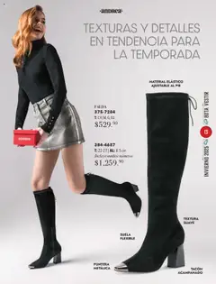 Vista previa de Andrea - Catálogo Invierno, nuevo folleto de la tienda, válido en México a partir del 13.10.2025 | Página: 13 | Productos: Flexible, Falda