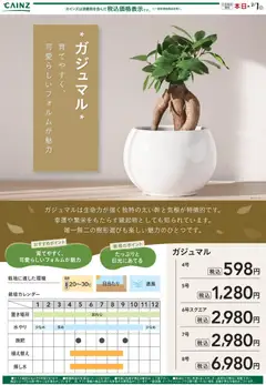 02.01.2026から有効なオファーを含む カインズ ホーム - カジュマル