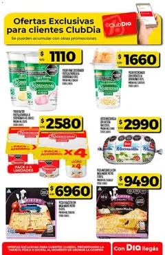 Vista previa Dia - Ofertas  válido desde el 17.12.2025 | Página: 45