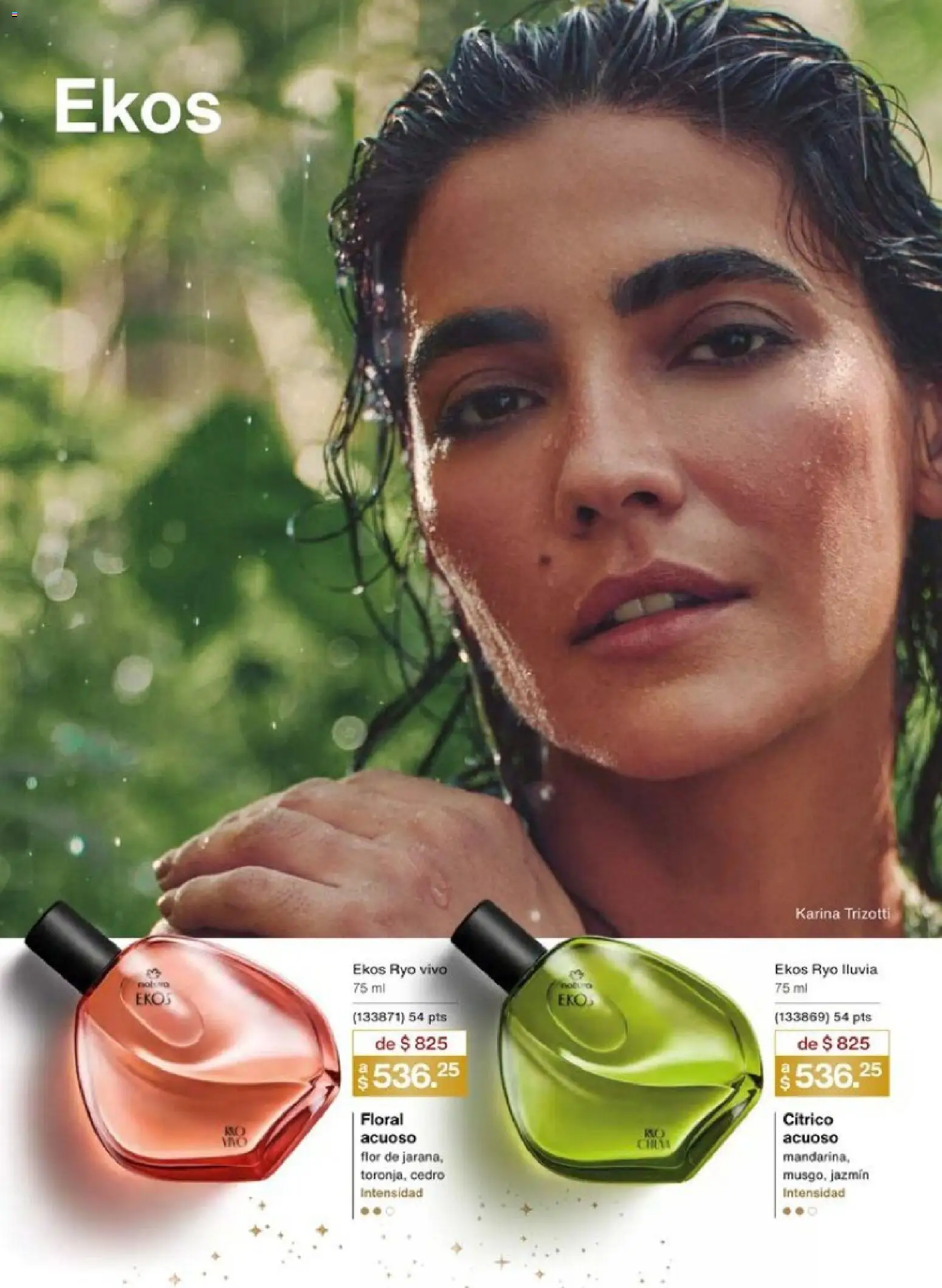 Nuevas ofertas de Natura válidas en toda la República Mexicana desde el 01.12.2025. ¡Encuentra las mejores ofertas en Natura campaña 18 2025! | Página: 41