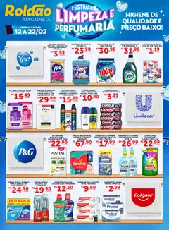 Roldão - Ofertas Festival da Limpeza e Perfumaria - Pré-Visualização do folheto da loja Roldão, válido de 12.02.2026