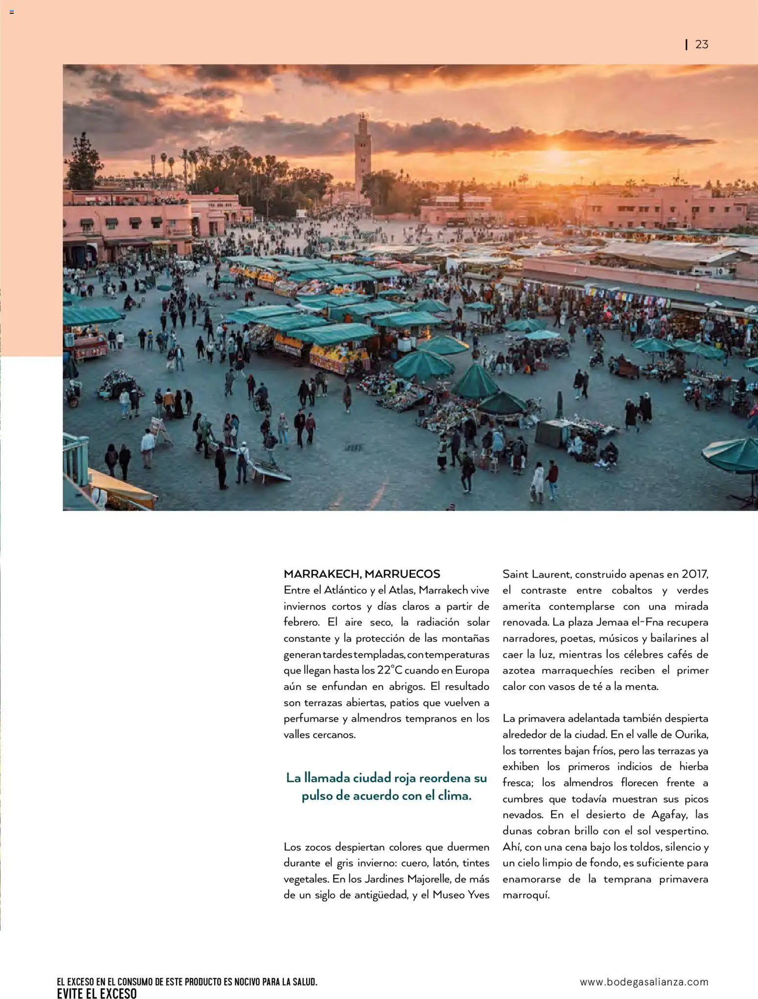 Nuevas ofertas de Bodegas Alianza válidas en toda la República Mexicana desde el 01.01.2026. ¡Encuentra las mejores ofertas en Bodegas Alianza catálogo! | Página: 25 | Productos: Brillo, Té, Vasos