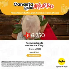 Éxito - Catálogo -  Vista previa de la revista de la tienda Éxito valido desde el 17.10.2025