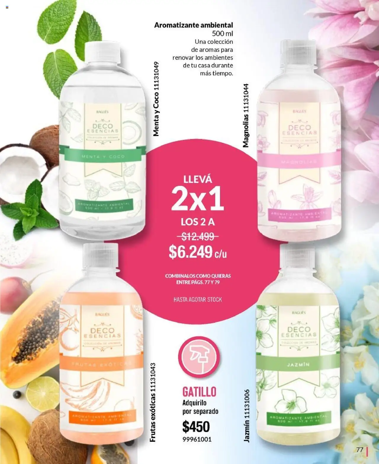 Bagués catálogo │ válido desde el 01.06.2025 | Página: 77 | Productos: Esencias