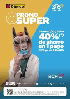 Vista previa Diarco - Especial Banco Del Chubut válido desde el 17.10.2025