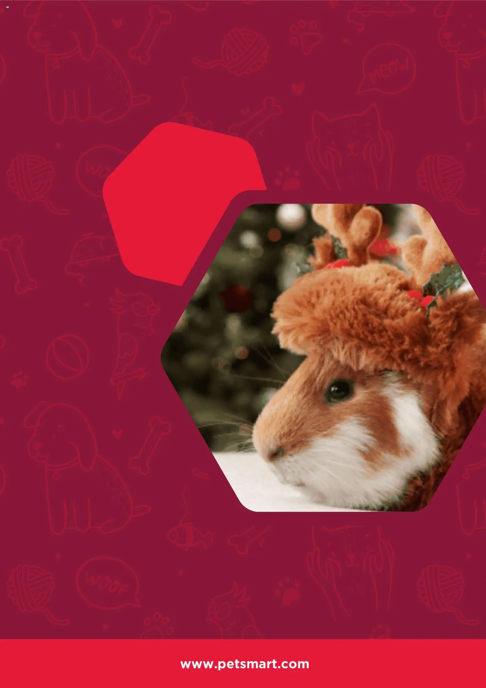 Petsmart Weekly Ad - valid from 15.12.2025 | Page: 7