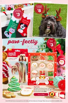 Preview of The Reject Shop  Catalogue  - valid from 29.10.2025 | Page: 13 | Products: Box, Fish